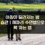 아침이-달라지는-밤-습관