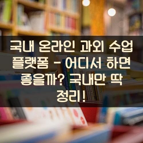 국내 온라인 과외 수업 플랫폼 - 어디서 하면 좋을까? 국내만 딱 정리!