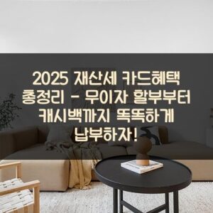 2025 재산세 카드혜택 총정리 - 무이자 할부부터 캐시백까지 똑똑하게 납부하자! 2025 재산세 카드혜택 총정리 - 무이자 할부부터 캐시백까지 똑똑하게 납부하자!