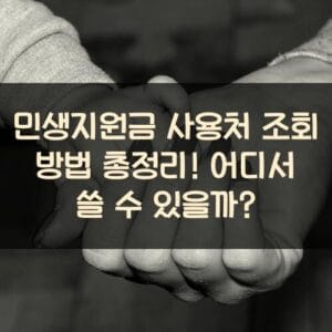 민생지원금 사용처 조회 방법 총정리! 어디서 쓸 수 있을까?