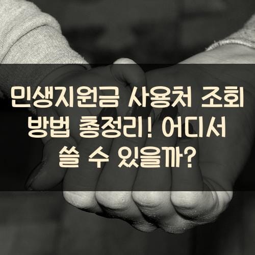 민생지원금 사용처 조회 방법 총정리! 어디서 쓸 수 있을까?