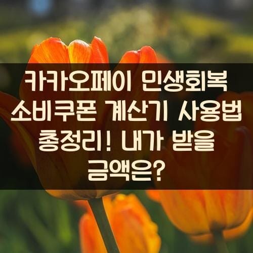 카카오페이 민생회복 소비쿠폰 계산기 사용법 총정리! 내가 받을 금액은?