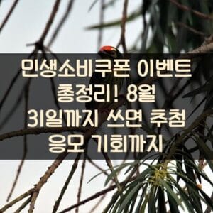 민생소비쿠폰 이벤트 총정리! 8월 31일까지 쓰면 추첨 응모 기회까지 민생소비쿠폰 이벤트 총정리! 8월 31일까지 쓰면 추첨 응모 기회까지