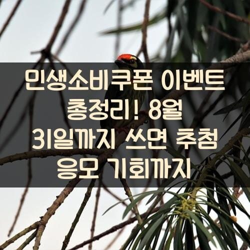 민생소비쿠폰 이벤트 총정리! 8월 31일까지 쓰면 추첨 응모 기회까지