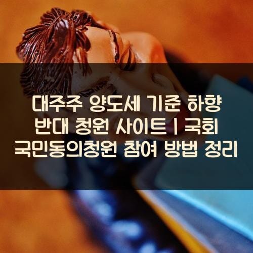 대주주 양도세 기준 하향 반대 청원 사이트｜국회 국민동의청원 참여 방법 정리