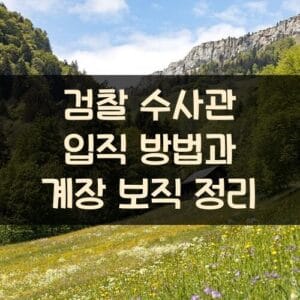 검찰 수사관 입직 방법과 계장 보직 정리 검찰 수사관 입직 방법과 계장 보직 정리