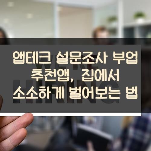 앱테크 설문조사 부업 추천앱, 집에서 소소하게 벌어보는 법