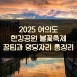 2025 여의도 한강공원 불꽃축제 꿀팁과 명당자리 총정리