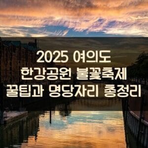 2025 여의도 한강공원 불꽃축제 꿀팁과 명당자리 총정리 2025 여의도 한강공원 불꽃축제 꿀팁과 명당자리 총정리