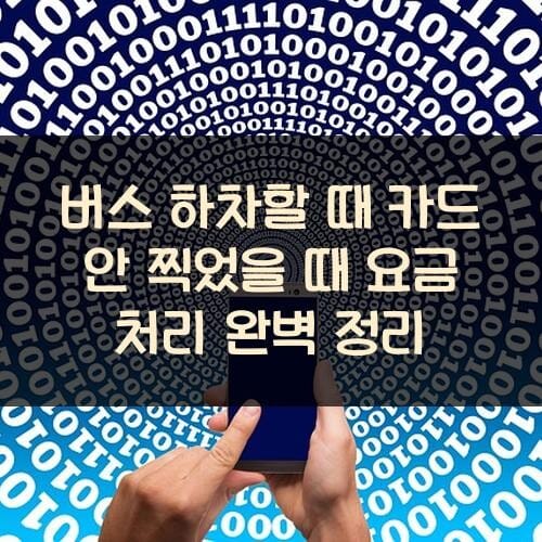 버스 하차할 때 카드 안 찍었을 때 요금 처리 완벽 정리