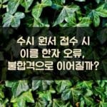수시 원서 접수 시 이름 한자 오류, 불합격으로 이어질까?