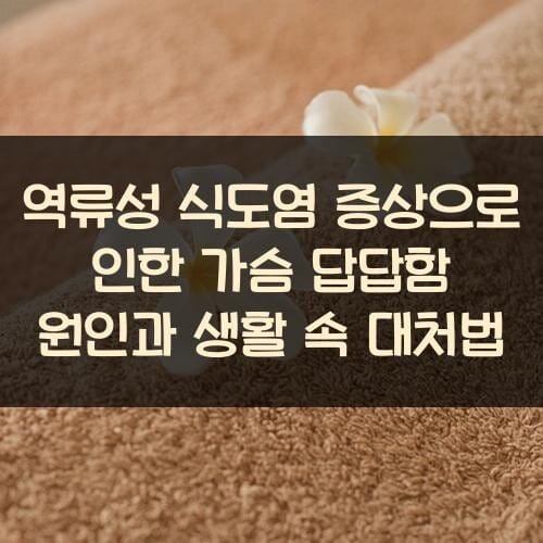 역류성 식도염 증상으로 인한 가슴 답답함 원인과 생활 속 대처법