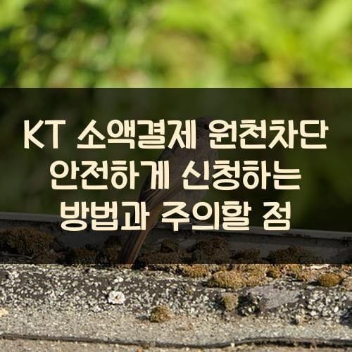 KT 소액결제 원천차단 안전하게 신청하는 방법과 주의할 점