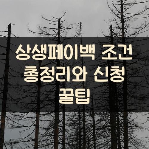 상생페이백 조건 총정리와 신청 꿀팁