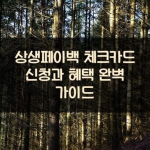 상생페이백 체크카드 신청과 혜택 완벽 가이드