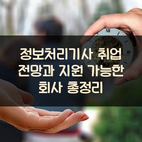 정보처리기사 취업 전망과 지원 가능한 회사 총정리