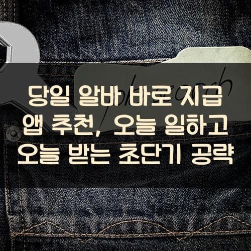 당일 알바 바로 지급 앱 추천, 오늘 일하고 오늘 받는 초단기 공략