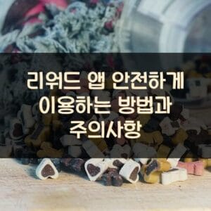 리워드 앱 안전하게 이용하는 방법과 주의사항 리워드 앱 안전하게 이용하는 방법과 주의사항