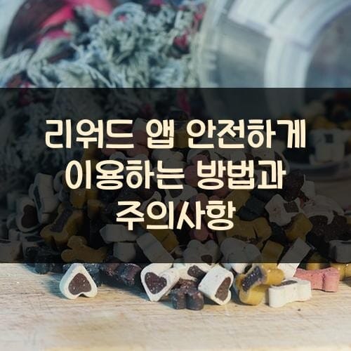 리워드 앱 안전하게 이용하는 방법과 주의사항