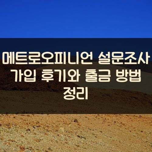 메트로오피니언 설문조사 가입 후기와 출금 방법 정리