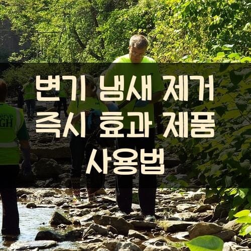 변기 냄새 제거 즉시 효과 제품 사용법