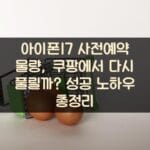 아이폰17 사전예약 물량, 쿠팡에서 다시 풀릴까? 성공 노하우 총정리