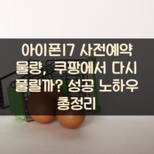 아이폰17 사전예약 물량, 쿠팡에서 다시 풀릴까? 성공 노하우 총정리 아이폰17 사전예약 물량, 쿠팡에서 다시 풀릴까? 성공 노하우 총정리