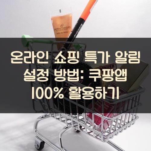 온라인 쇼핑 특가 알림 설정 방법: 쿠팡앱 100% 활용하기
