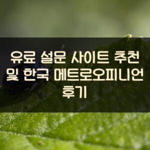 유료 설문 사이트 추천 및 한국 메트로오피니언 후기 유료 설문 사이트 추천 및 한국 메트로오피니언 후기