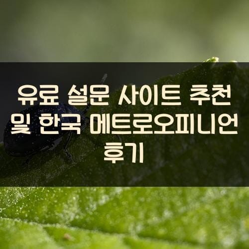 유료 설문 사이트 추천 및 한국 메트로오피니언 후기