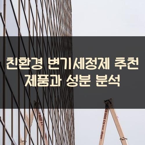 친환경 변기세정제 추천 제품과 성분 분석