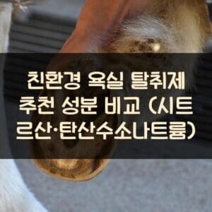 친환경 욕실 탈취제 추천 성분 비교 (시트르산·탄산수소나트륨) 친환경 욕실 탈취제 추천 성분 비교 (시트르산·탄산수소나트륨)