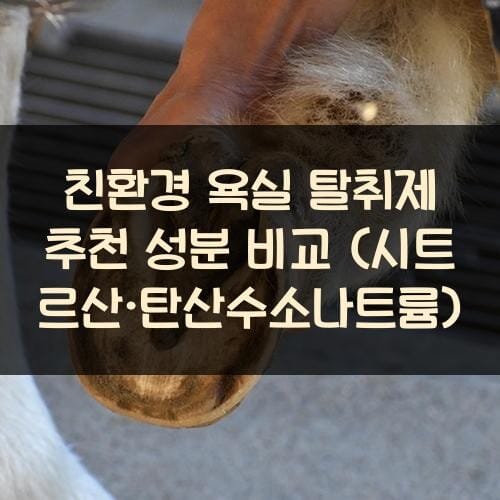 친환경 욕실 탈취제 추천 성분 비교 (시트르산·탄산수소나트륨)