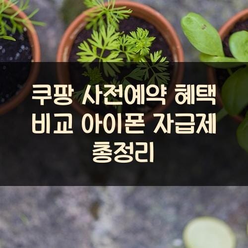 쿠팡 사전예약 혜택 비교 아이폰 자급제 총정리