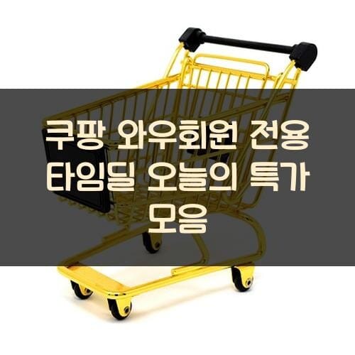 쿠팡 와우회원 전용 타임딜 오늘의 특가 모음