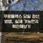 쿠팡플렉스 당일 정산 방법, 실제 가능한지 확인해보기