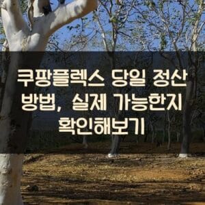 쿠팡플렉스 당일 정산 방법, 실제 가능한지 확인해보기 쿠팡플렉스 당일 정산 방법, 실제 가능한지 확인해보기