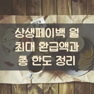 20250916_상생페이백 월 최대 환급액과 총 한도 정리_001