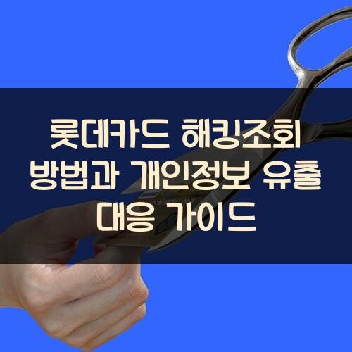롯데카드 해킹조회 방법과 개인정보 유출 대응 가이드