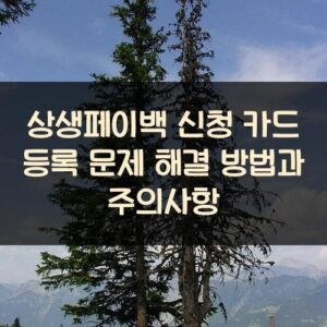 상생페이백 신청 카드 등록 문제 해결 방법과 주의사항 상생페이백 신청 카드 등록 문제 해결 방법과 주의사항