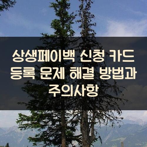 상생페이백 신청 카드 등록 문제 해결 방법과 주의사항