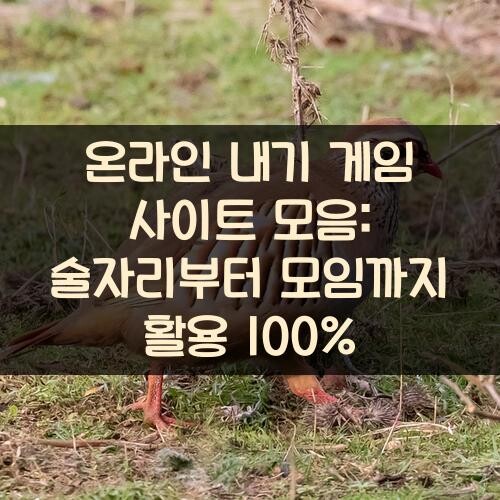 온라인 내기 게임 사이트 모음: 술자리부터 모임까지 활용 100%