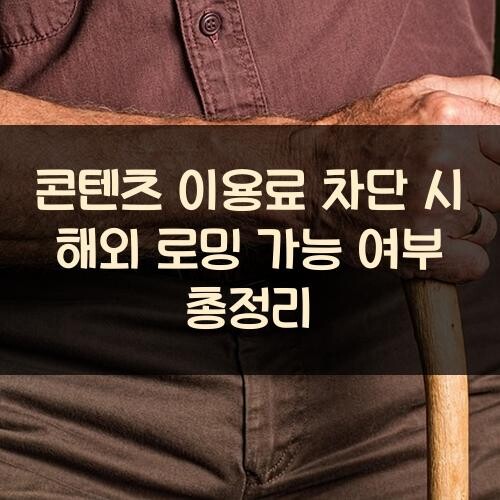 콘텐츠 이용료 차단 시 해외 로밍 가능 여부 총정리