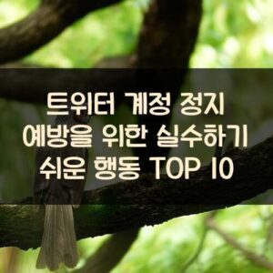 트위터 계정 정지 예방을 위한 실수하기 쉬운 행동 TOP 10 트위터 계정 정지 예방을 위한 실수하기 쉬운 행동 TOP 10
