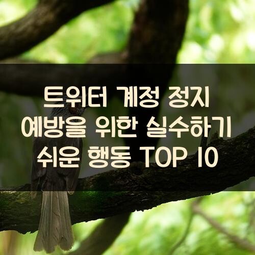 트위터 계정 정지 예방을 위한 실수하기 쉬운 행동 TOP 10