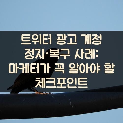 트위터 광고 계정 정지·복구 사례: 마케터가 꼭 알아야 할 체크포인트