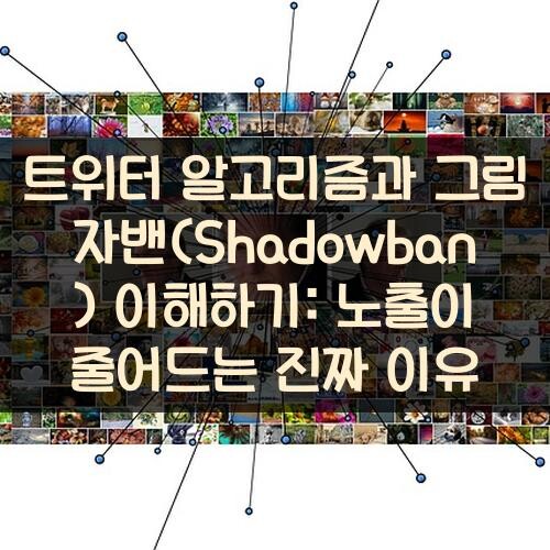 트위터 알고리즘과 그림자밴(Shadowban) 이해하기: 노출이 줄어드는 진짜 이유