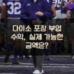 다이소 포장 부업 수익, 실제 가능한 금액은?