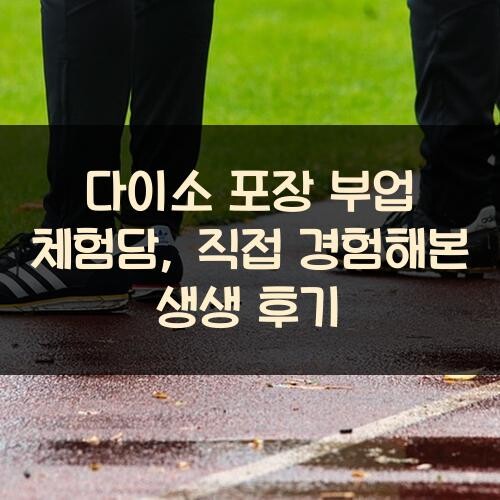 다이소 포장 부업 체험담, 직접 경험해본 생생 후기