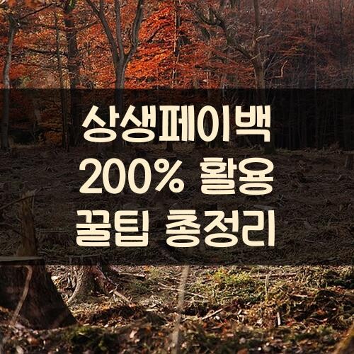 상생페이백 200% 활용 꿀팁 총정리